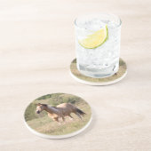 Dessous De Verre En Grès Buckskin Tobiano Horse Posing in Pasture Photo (Côté)