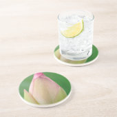 Dessous De Verre En Grès Bulbe Lily de l'eau non ouverte, Durban Botanique (Côté)