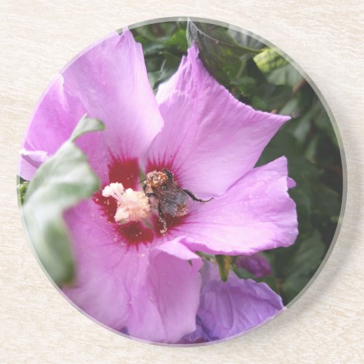 Dessous De Verre En Grès Bumblebebe sur la fleur d'Hibiscus (Devant)