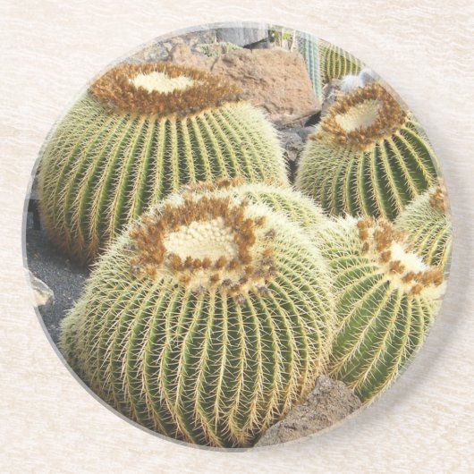Dessous De Verre En Grès Cacti coaster (Devant)