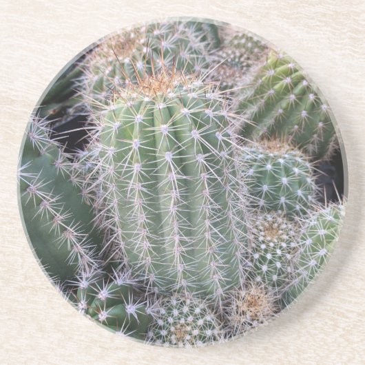 Dessous De Verre En Grès Cactus (Devant)