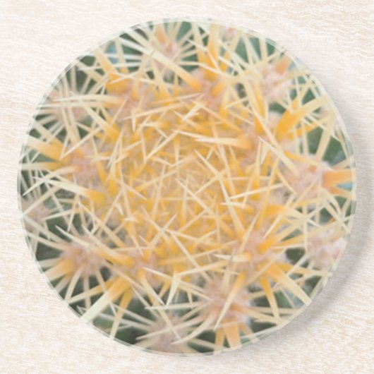 Dessous De Verre En Grès Cactus (Devant)