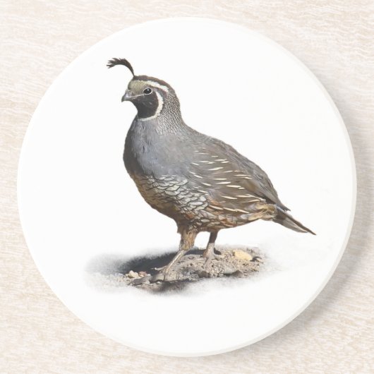 DESSOUS DE VERRE EN GRÈS CALIFORNIE QUAIL (Devant)