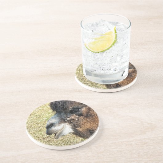 DESSOUS DE VERRE EN GRÈS CAMELS (Côté)