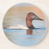 Dessous De Verre En Grès Canard de Canvasback mâle (Devant)