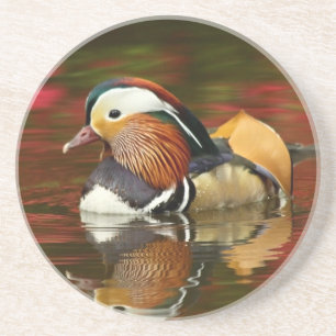 Dessous De Verre En Grès Canard de mandarine