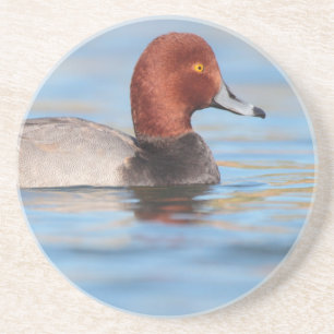 Dessous De Verre En Grès Canard roux mâle