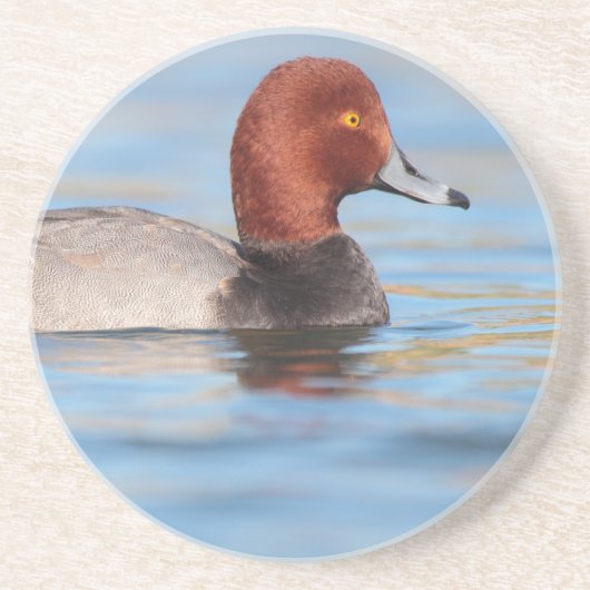 Dessous De Verre En Grès Canard roux mâle (Devant)