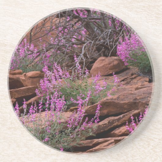 Dessous De Verre En Grès Capitol Reef National Park, Utah, États-Unis (Devant)