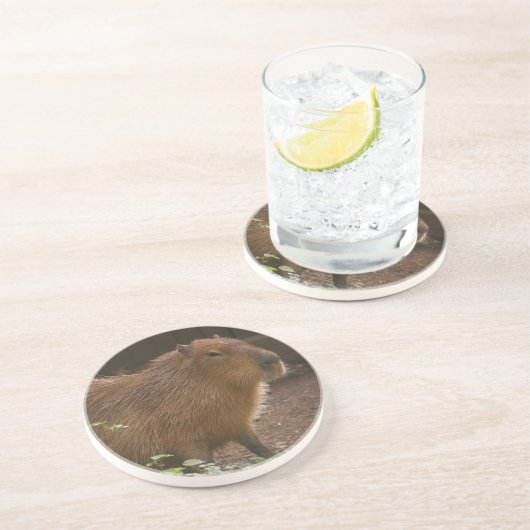 Dessous De Verre En Grès Capybara (Côté)