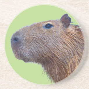 Dessous De Verre En Grès Capybara