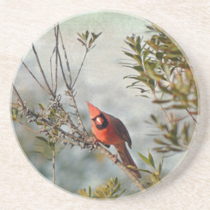 Dessous De Verre En Grès Cardinal du Nord dans Myrte de cire