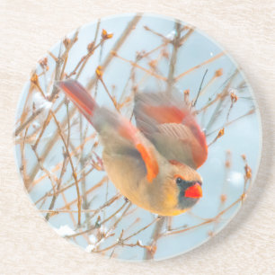 Dessous De Verre En Grès Cardinal du Nord en Vol - Photographie Originale