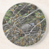 Dessous De Verre En Grès Castor occupé (Devant)