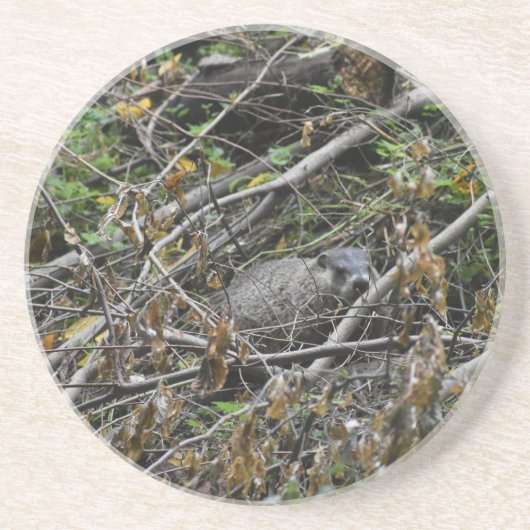 Dessous De Verre En Grès Castor occupé (Devant)