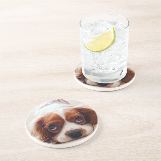 Dessous De Verre En Grès Cavalier King Charles Spaniel (Côté)