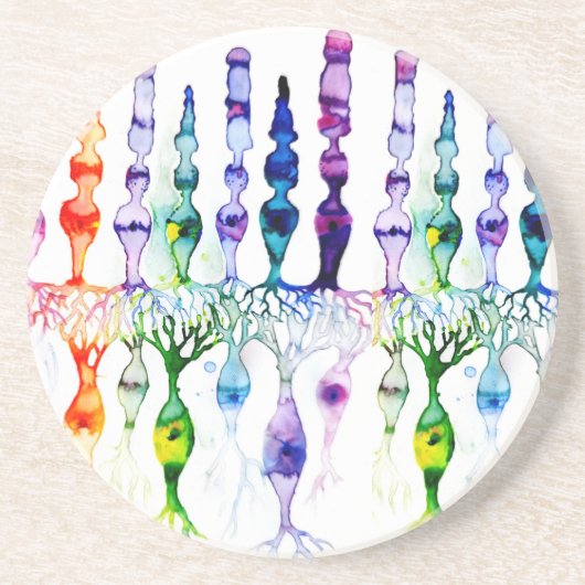 Dessous De Verre En Grès Cellules de cône, cellules de la tige et neurones  (Devant)