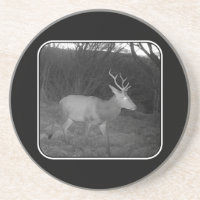 Cerf majestueux crépuscule lueur bois sombre crépu