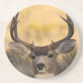 Dessous De Verre En Grès cerfs communs (Devant)