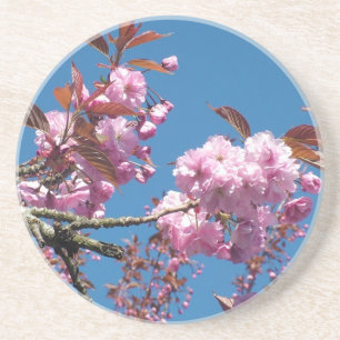 Dessous De Verre En Grès Cerisier en fleurs