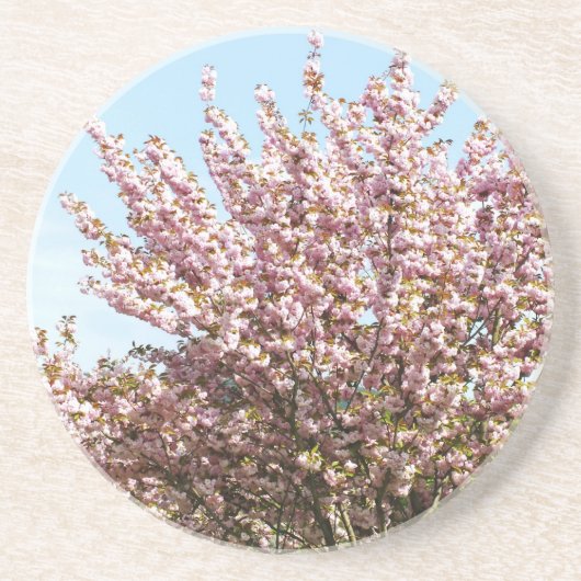 Dessous De Verre En Grès Cerisier en fleurs (Devant)