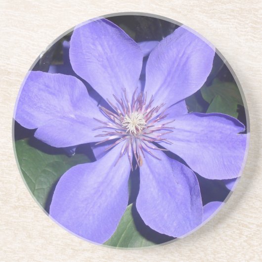 Dessous De Verre En Grès Césarine (Devant)