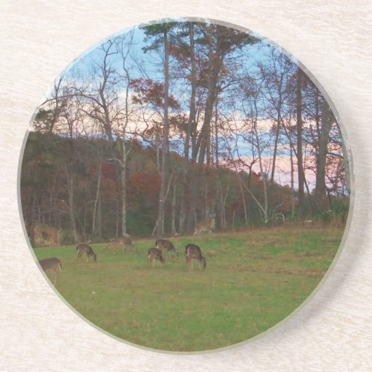 Dessous De Verre En Grès Champ de cerf et un SunSet rose (Devant)