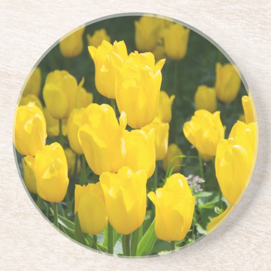 Dessous De Verre En Grès Champ de tulipes jaune vif (Devant)