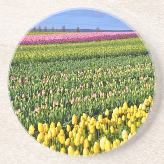 Dessous De Verre En Grès Champ des tulipes de printemps (Devant)