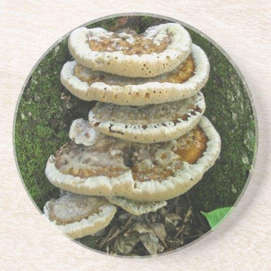 Dessous De Verre En Grès Champignons de plateau sur souche (Devant)