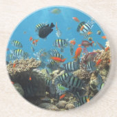 Dessous De Verre En Grès Chaos tropical de poissons (Devant)