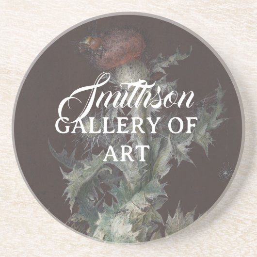 Dessous De Verre En Grès Chardon aux insectes 1755 Johann C. Dietzsch (Devant)