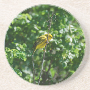 Dessous De Verre En Grès Chardonneret