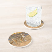 Dessous De Verre En Grès Chasse au coyote (Canis Latrans) (Côté)