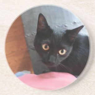 Dessous De Verre En Grès Chat de Priscilla