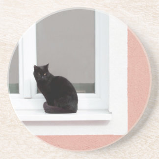 Dessous De Verre En Grès Chat noir sur le corail