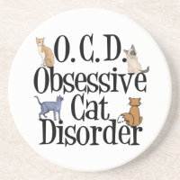 Chat observé