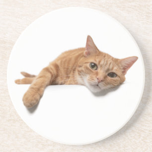 Dessous De Verre En Grès Chat Orange Posé Vers Le Bas