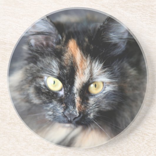 Dessous De Verre En Grès Chat sibérien (Devant)