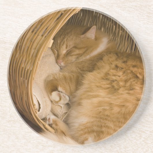 Dessous De Verre En Grès Chat tigré orange dormant dans un panier (Devant)