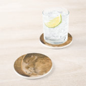 Dessous De Verre En Grès Chat tigré orange dormant dans un panier (Côté)