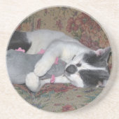 Dessous De Verre En Grès Chaton couchant (Devant)