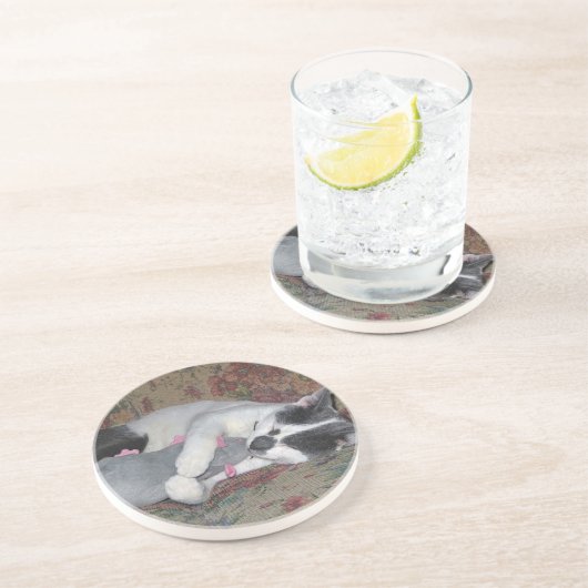 Dessous De Verre En Grès Chaton couchant (Côté)