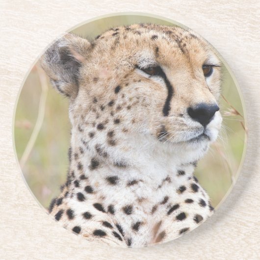 Dessous De Verre En Grès Cheetah (Devant)