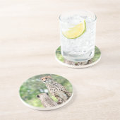 Dessous De Verre En Grès Cheetah 004 (Côté)