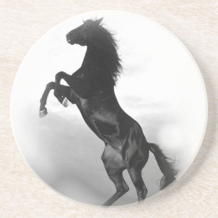 Dessous De Verre En Grès Cheval