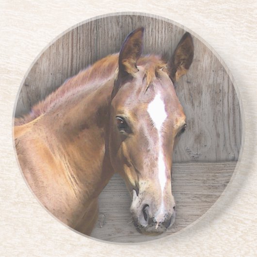 Dessous De Verre En Grès Cheval (Devant)