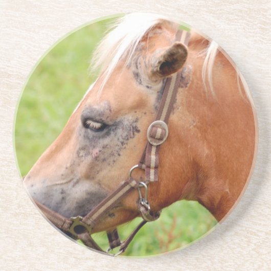 Dessous De Verre En Grès Cheval 003 (Devant)