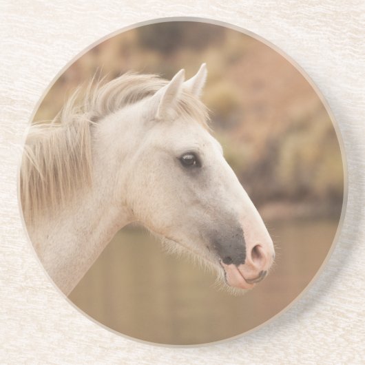 Dessous De Verre En Grès Cheval blanc (Devant)