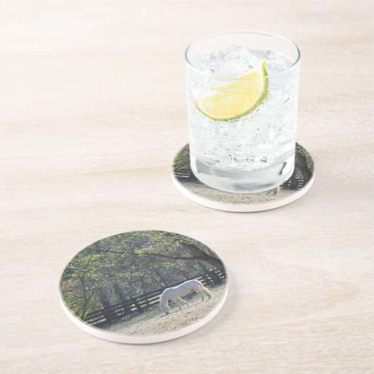 Dessous De Verre En Grès Cheval blanc dans les arbres (Côté)